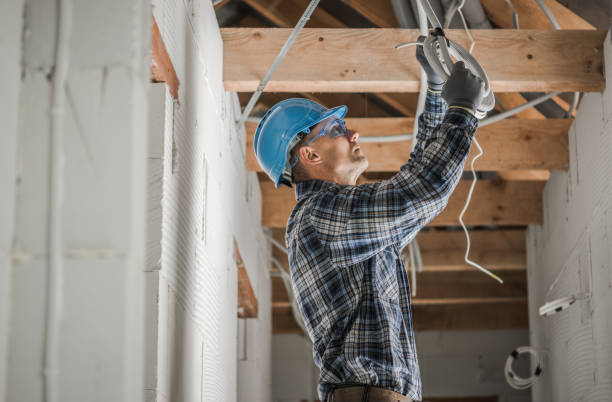 Best Electrical System Inspection  in Wrangell, AK